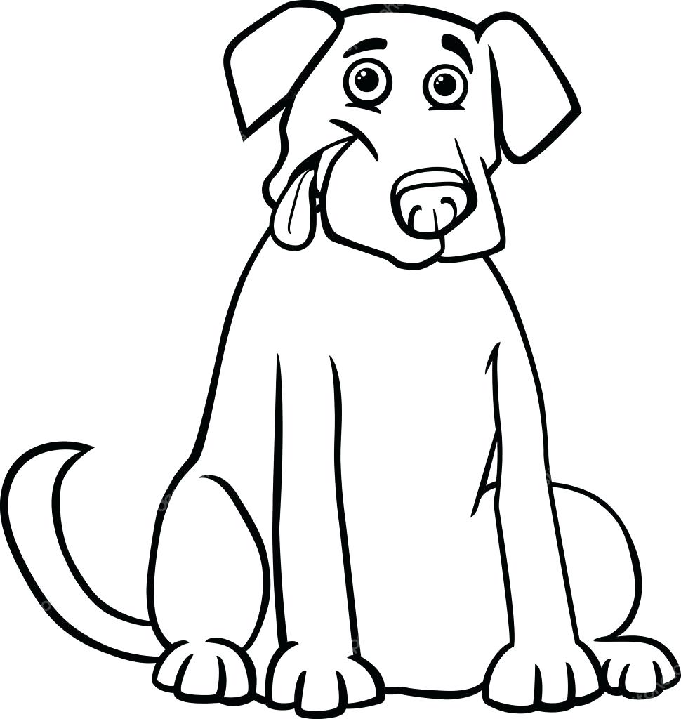 Black Labrador Drawing at GetDrawings | Free download