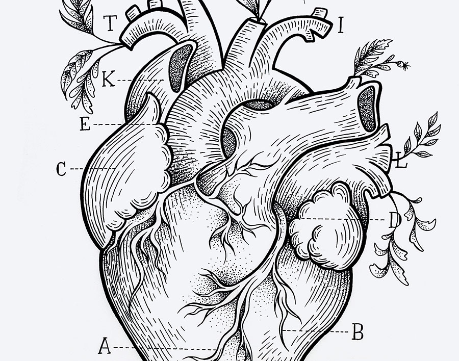 900x708 Eight Lines Brand Identity It's B