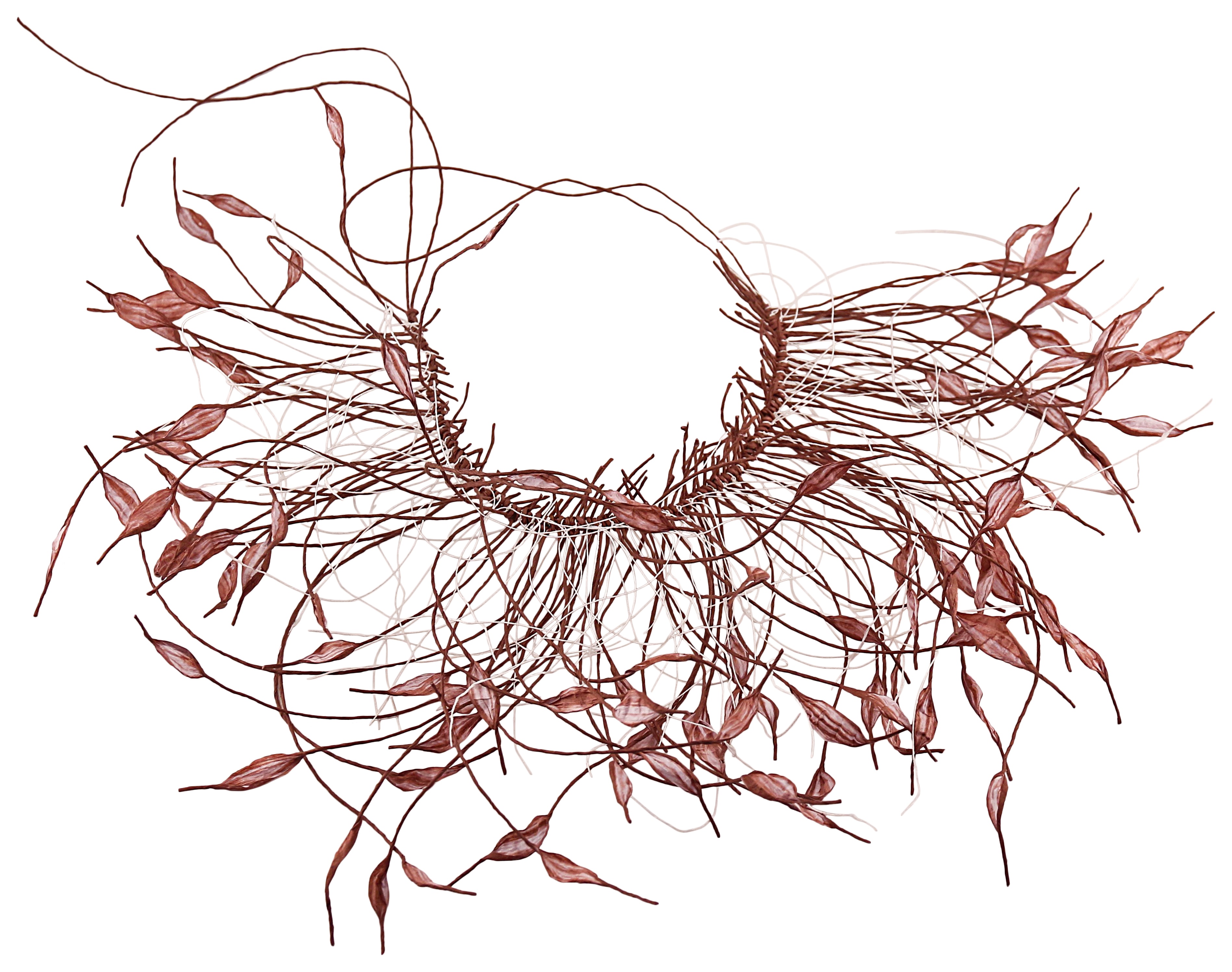 3793x2992 Free Images Tree, Branch, Wing, Black And White, Leaf, Flower