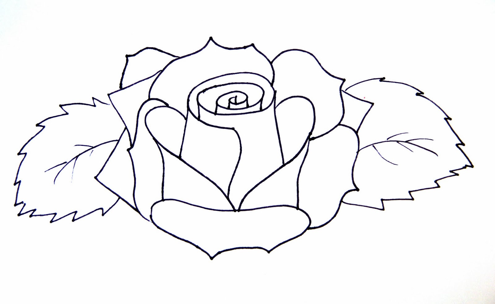 1600x982 Hoontoidly Simple Rose Drawing Images