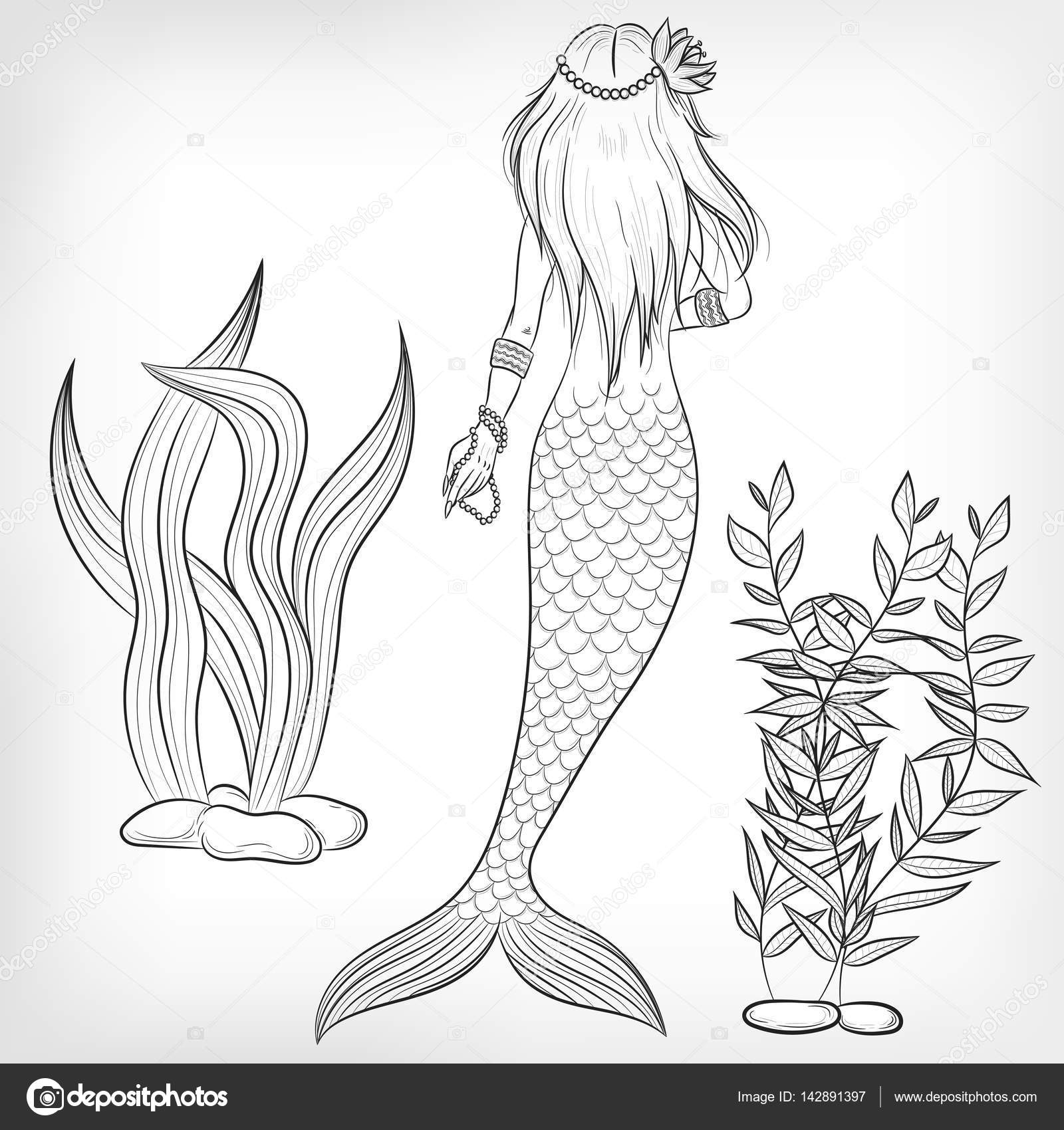 1600x1700 Set Of Vector Illustrations Of A Mermaid And Sea Algae Stock