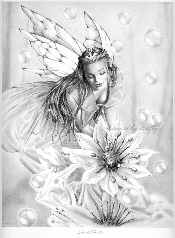 736x1002 Pictures Beautiful Pencil Drawings Of Fairies,
