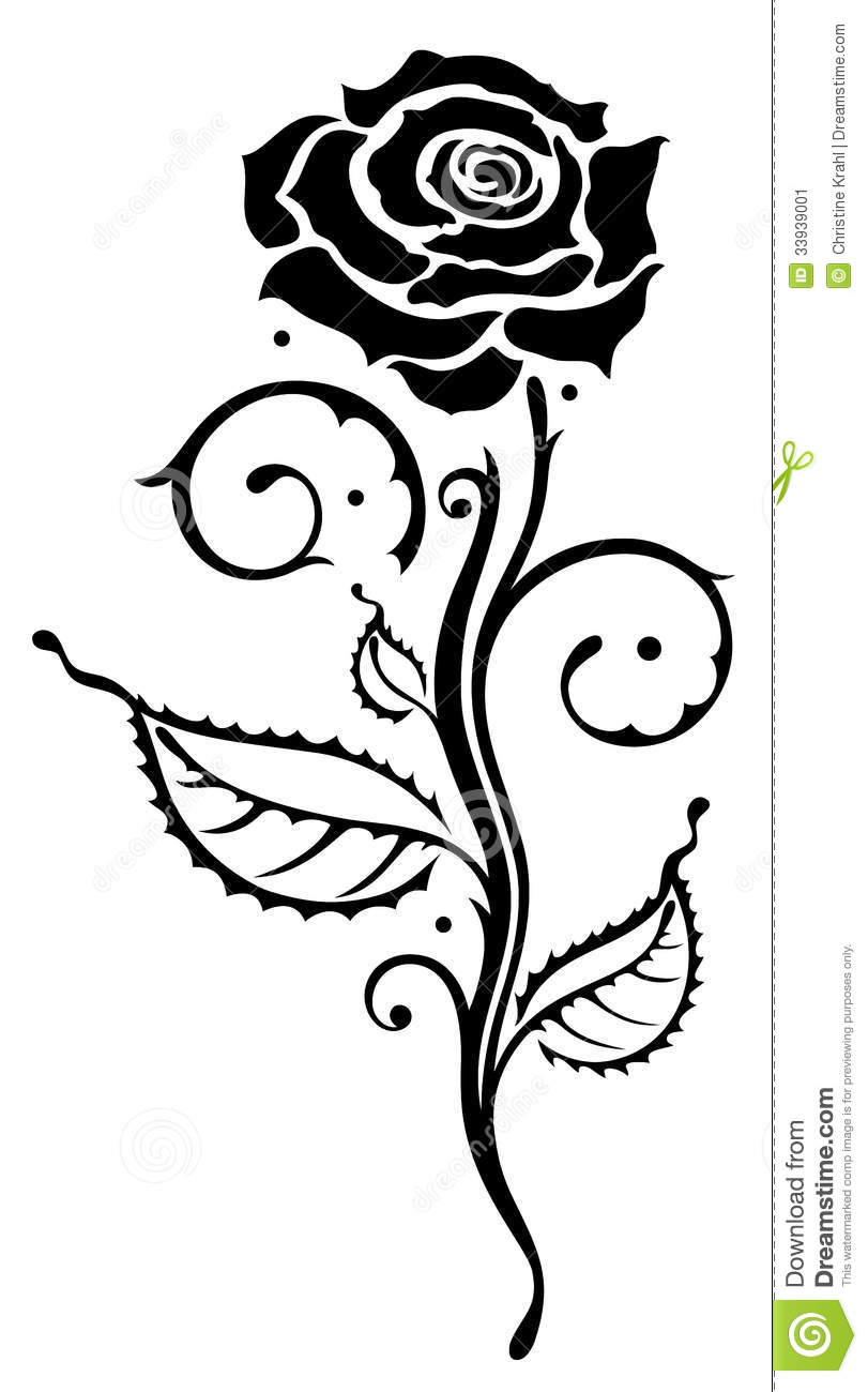 811x1300 Black Rose Flower Drawing