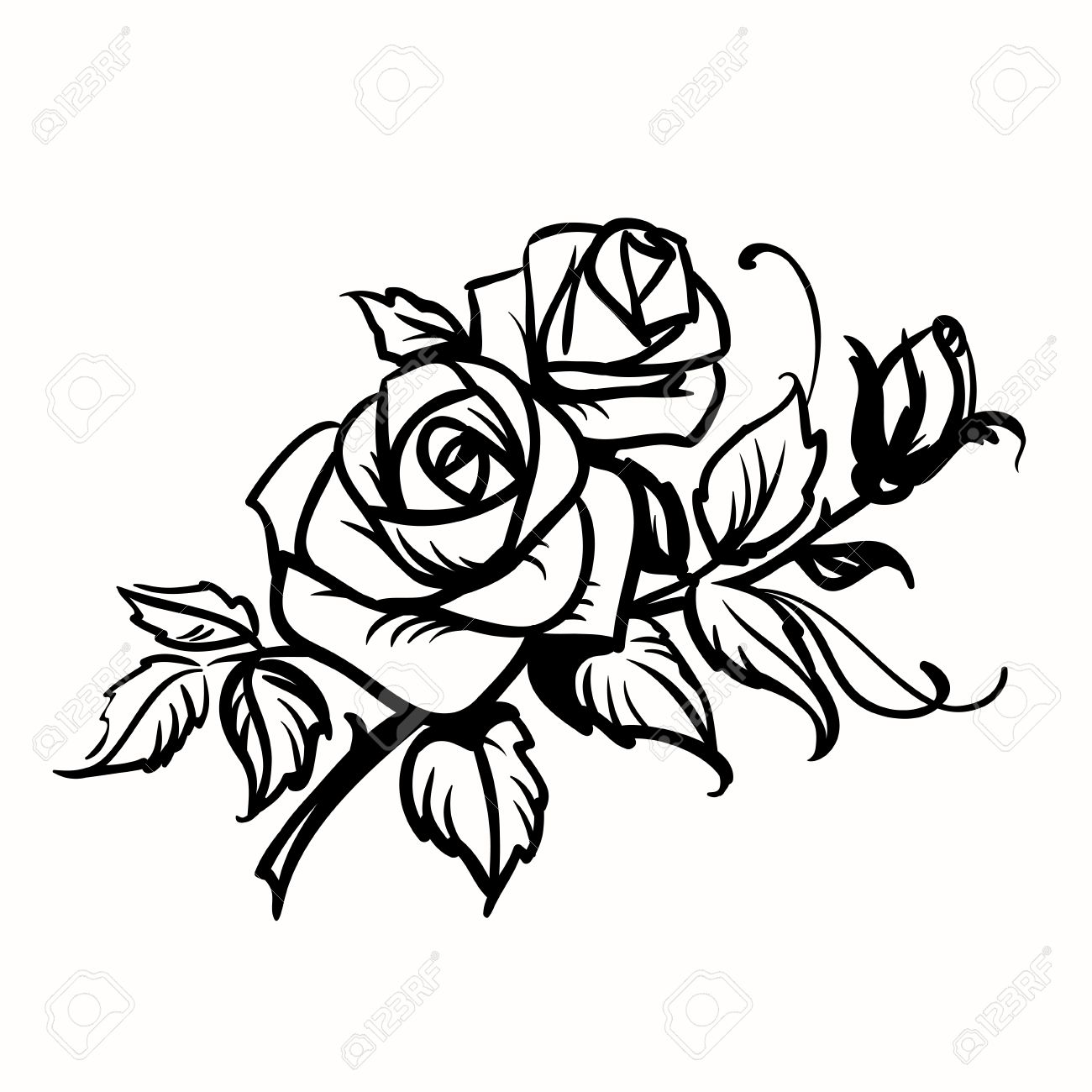 1300x1300 Roses Black Outline Drawing On White Background Royalty Free