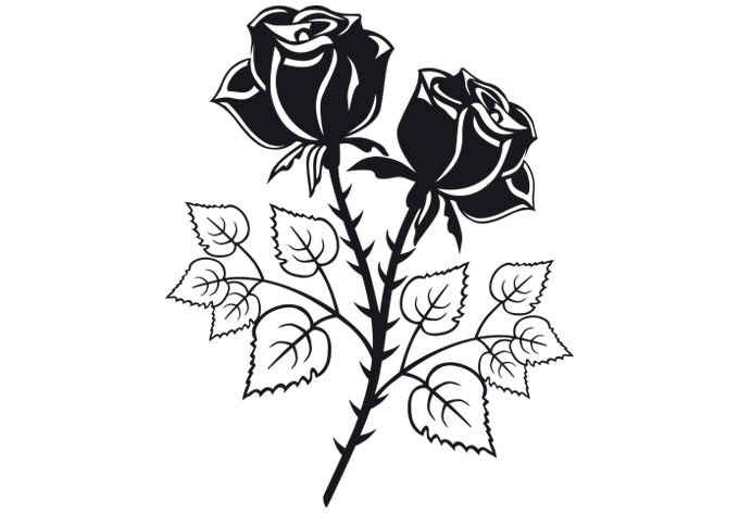 680x472 Two Roses Wall Decal