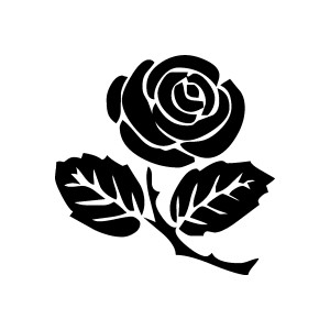 300x300 White Rose Clipart Flower Drawing