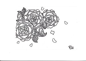 300x212 Black Rose. Drawings