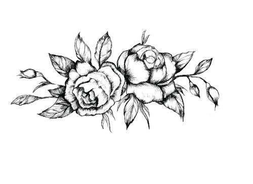 500x364 Black Roses Temporary Tattoo Black Roses, Vintage Fans