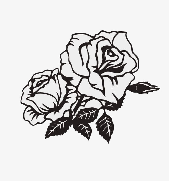 560x602 Black Rose, Rose, Flowers, Black Png Image For Free Download