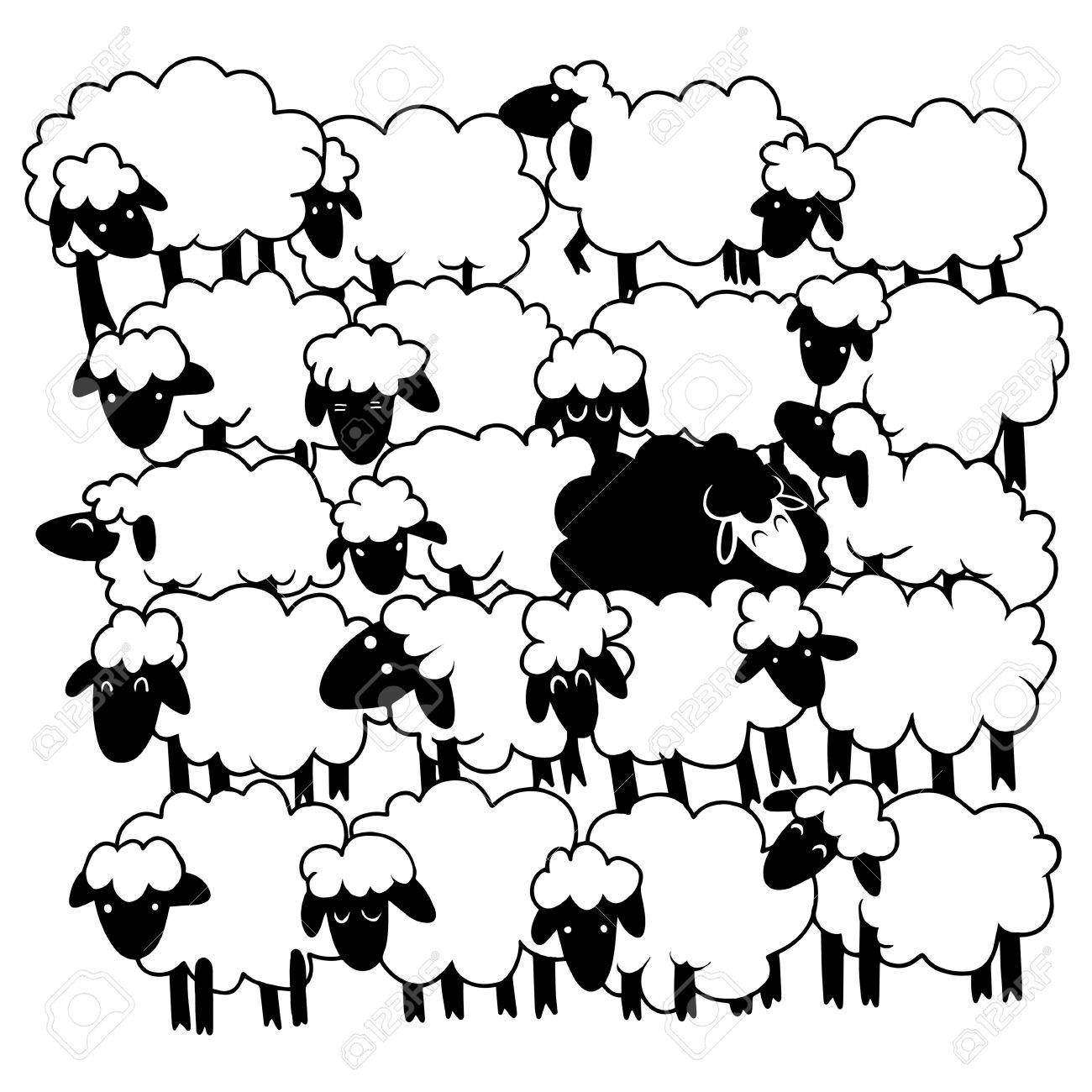 1300x1300 Black Sheep Amongst White Sheep ,single Black Sheep In White