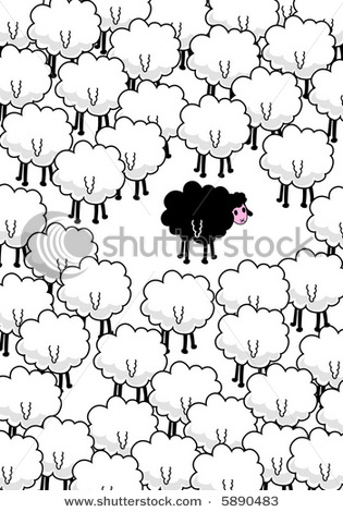 315x470 Of A Black Sheep Standing Alone In The Middle Of Many Other Sheep