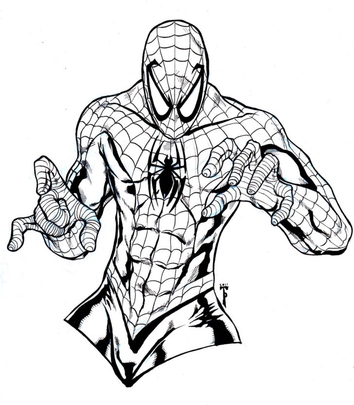 728x833 Spiderman Free Coloring Pages Line Art Spiderman