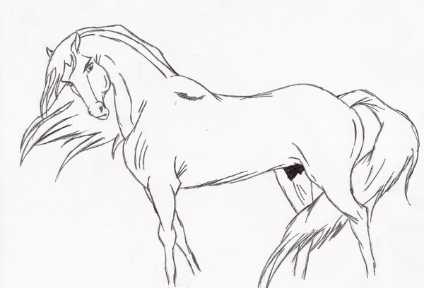600x408 Lone Stallion Lineart By Mustang Spirit