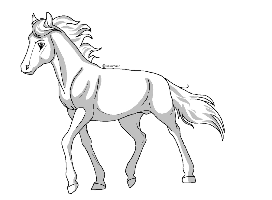 900x662 Stallion Lines Png By Kokamo77
