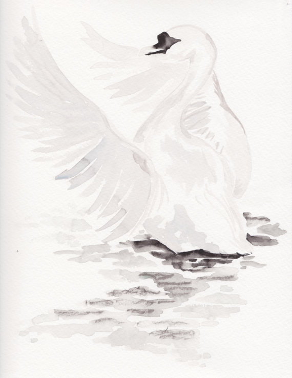 570x738 Blowout Sale! Original Swan Watercolor Painting, Black And White