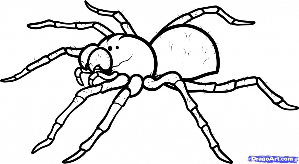 1024x562 How To Draw A Spider Step 4 How To Draw A Black Widow Spider