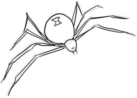 470x336 How To Draw A Black Widow Spider