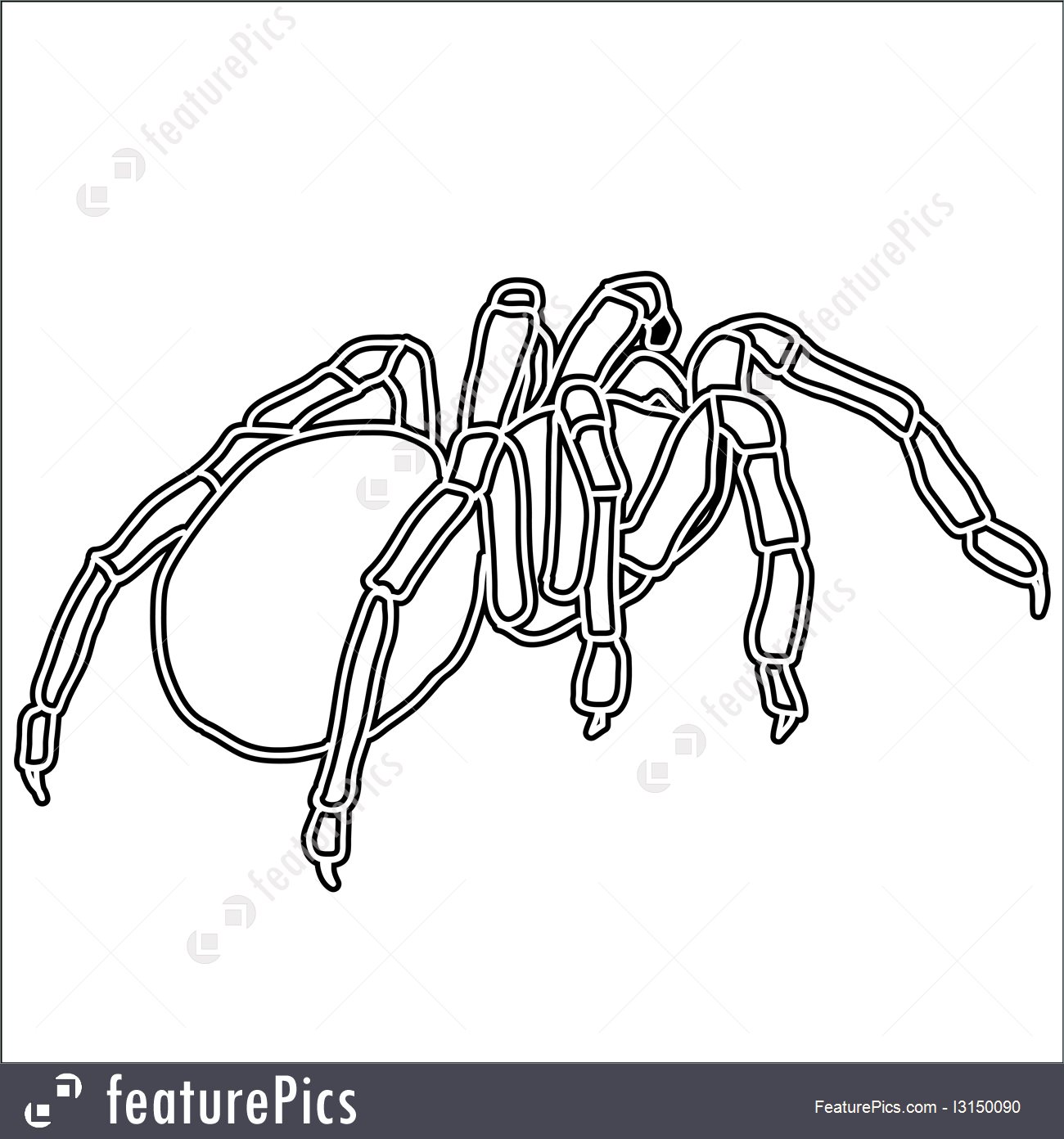 1300x1392 Wildlife Tattoo Of Black Widow Spider Isolated On White