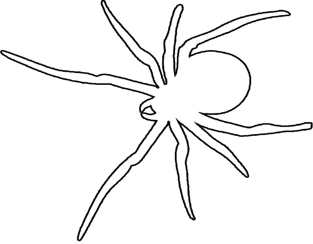 Black Widow Spider Drawing at GetDrawings | Free download