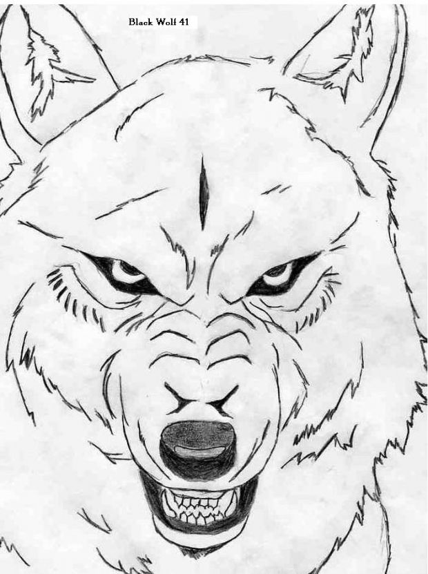 620x831 290 Best Wolf's Rain Images On Wolf's Rain, Wolves