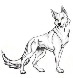 236x249 Wolf Coloring Pages For Kids Free Printable Pictures Coloring
