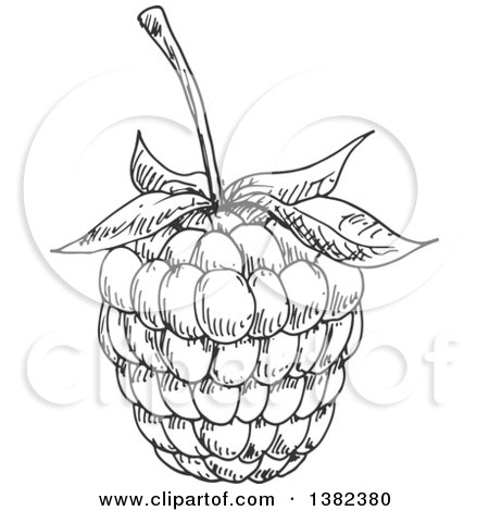 450x470 Clipart Of A Cartoon Blackberry