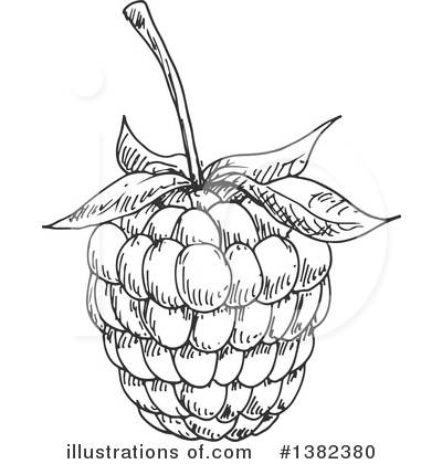 400x420 Blackberry Clipart