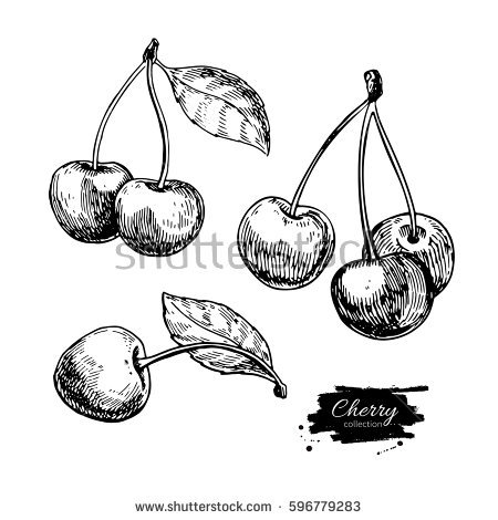 450x470 Drawn Berry Fruit