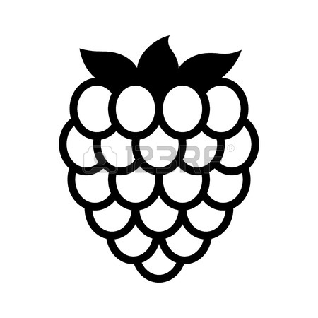 450x450 145 Blackberry Farm Fruit Food Leaves Stock Illustrations