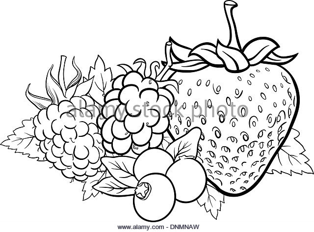 640x473 Strawberry Fresh Fruit Drawing Icon Black And White Stock Photos