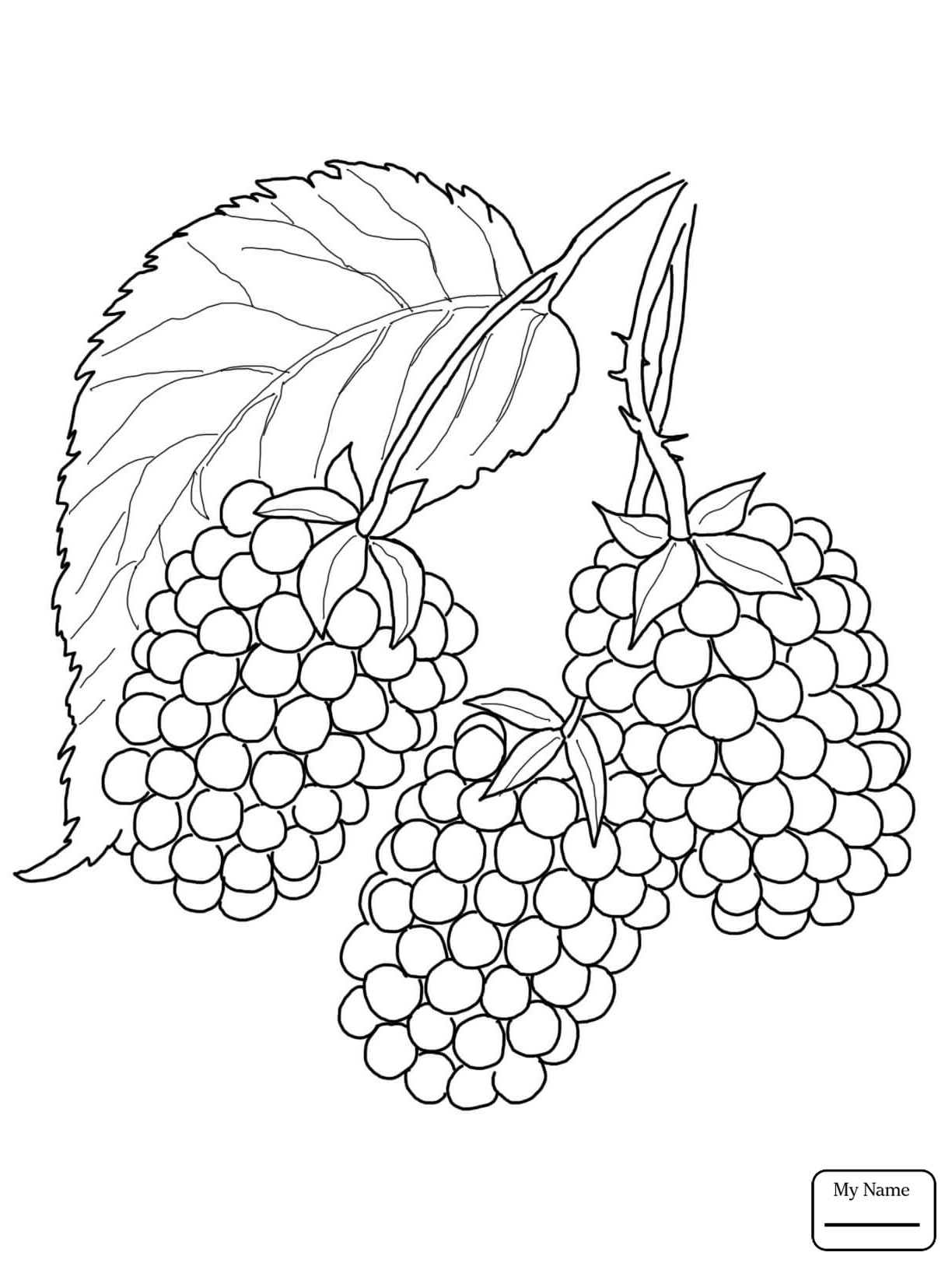 1224x1632 Coloring Pages Fruits Blackberry