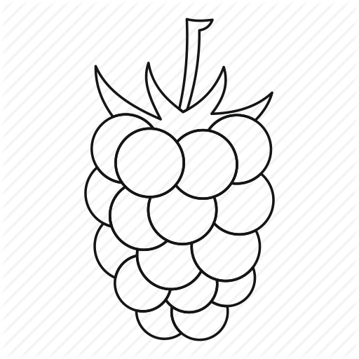 512x512 Berry, Blackberry, Line, Mulberry, Outline, Raspberry, Thin Icon