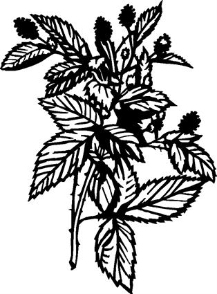 314x425 Memories In Granite