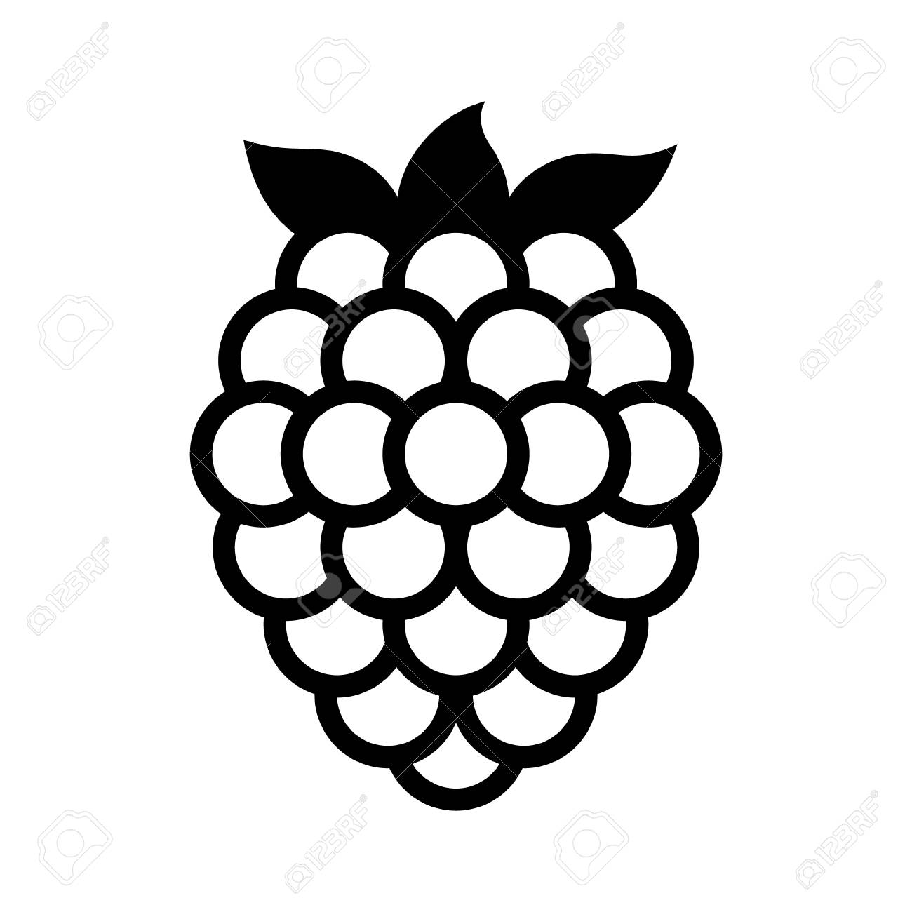1300x1300 Blackberry Fruit Or Blackberries Line Art Vector Icon For Food