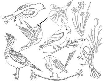 340x270 Blackbird Clipart Etsy