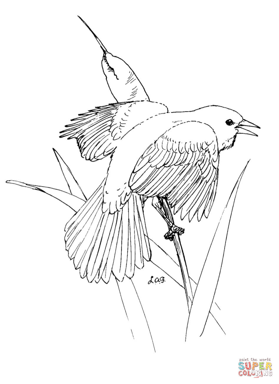 948x1304 Blackbird Coloring Pages Free Coloring Pages