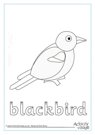 320x452 Blackbirds For Kids
