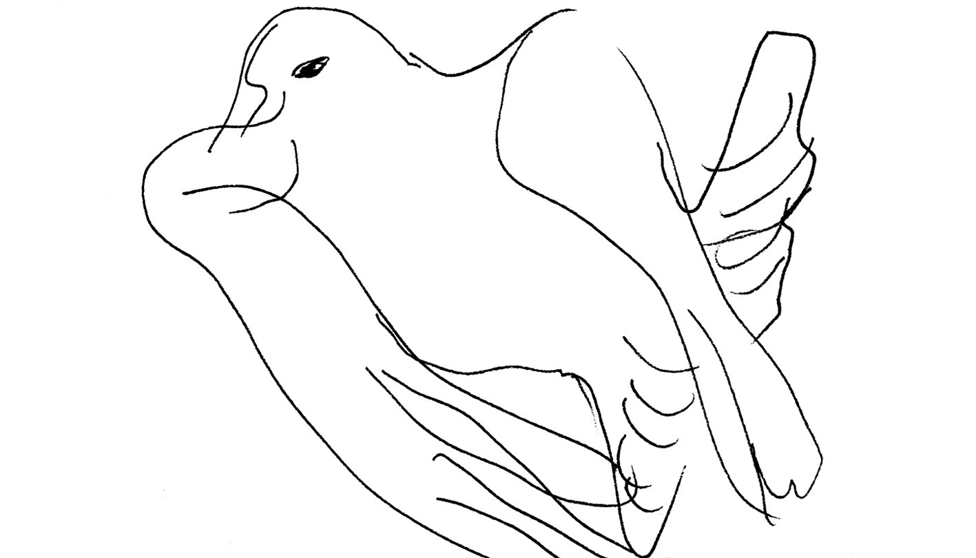 1417x810 Manna Blackbird Soliti