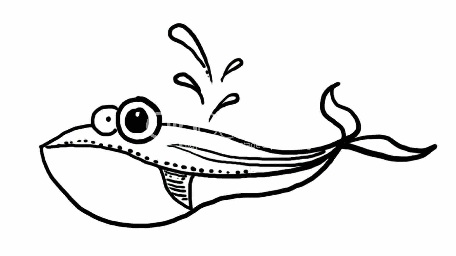 1920x1080 Drawing Of Whale Erupt Water,hand Painting Video Material,sketch