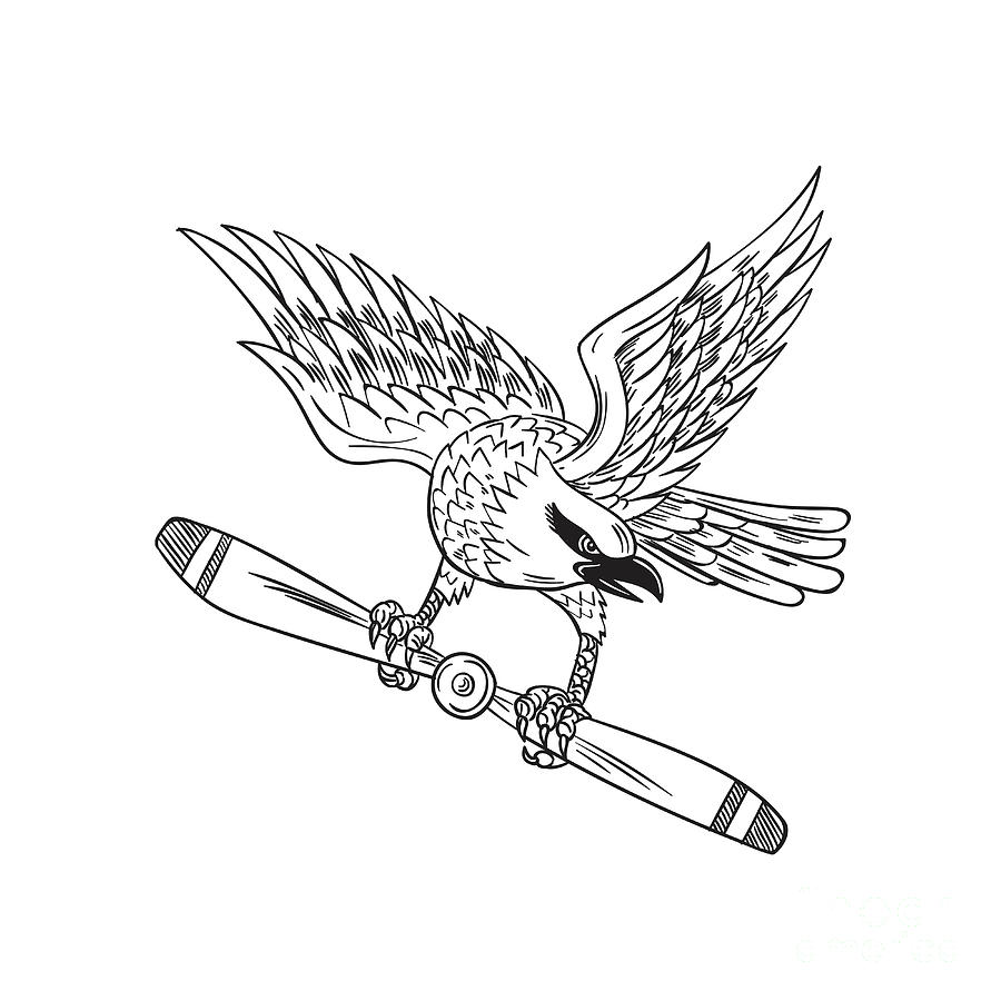 900x900 Shrike Clutching Propeller Blade Black And White Drawing Digital
