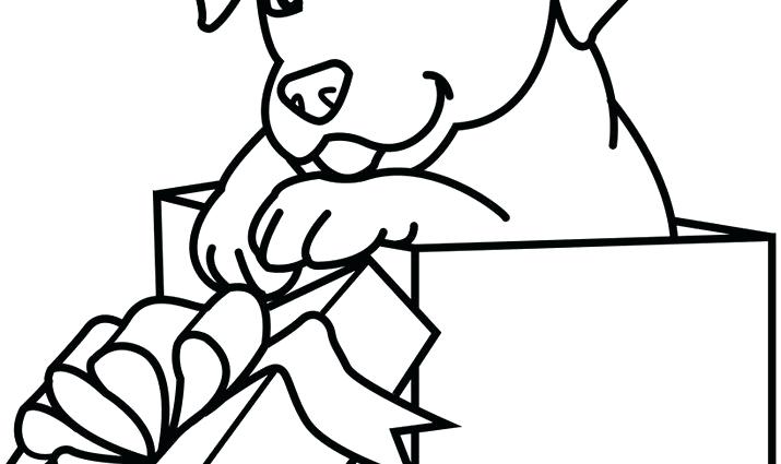 715x425 Printable Drawings Blank Coloring Pages Realistic Trees Tree