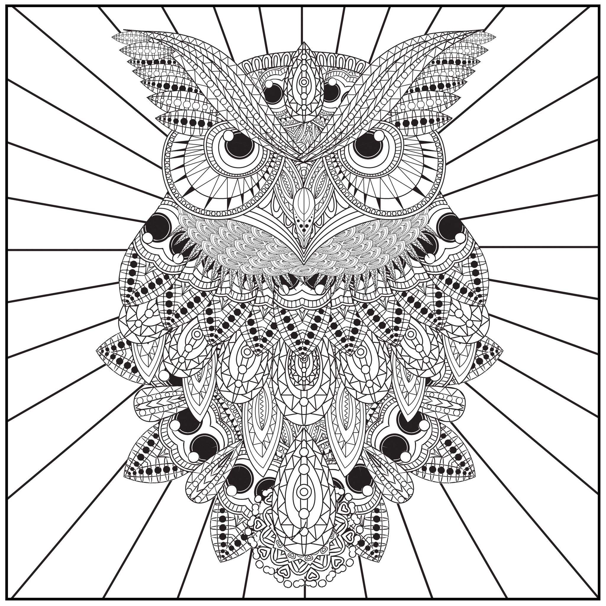 2048x2048 Color With Music Owls Of The Night Adult Coloring Book (Blank Page