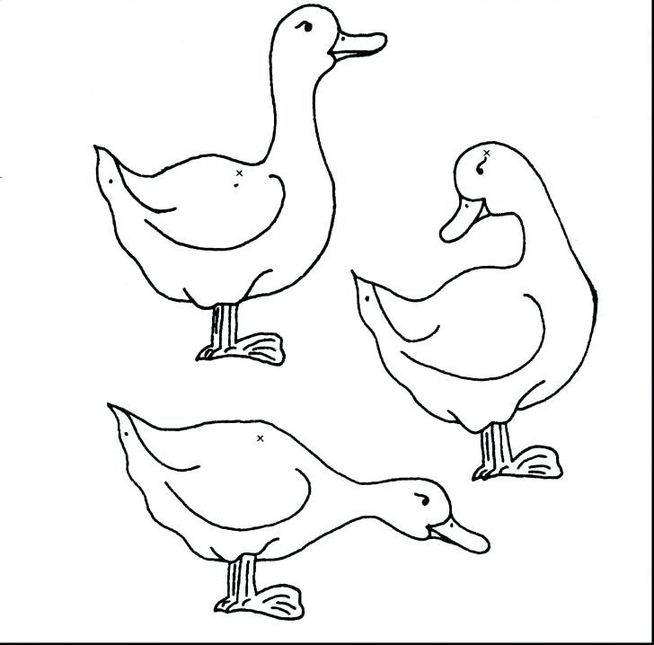 728x718 Rubber Ducky Coloring Page Rubber Duck Outline Drawing Blank