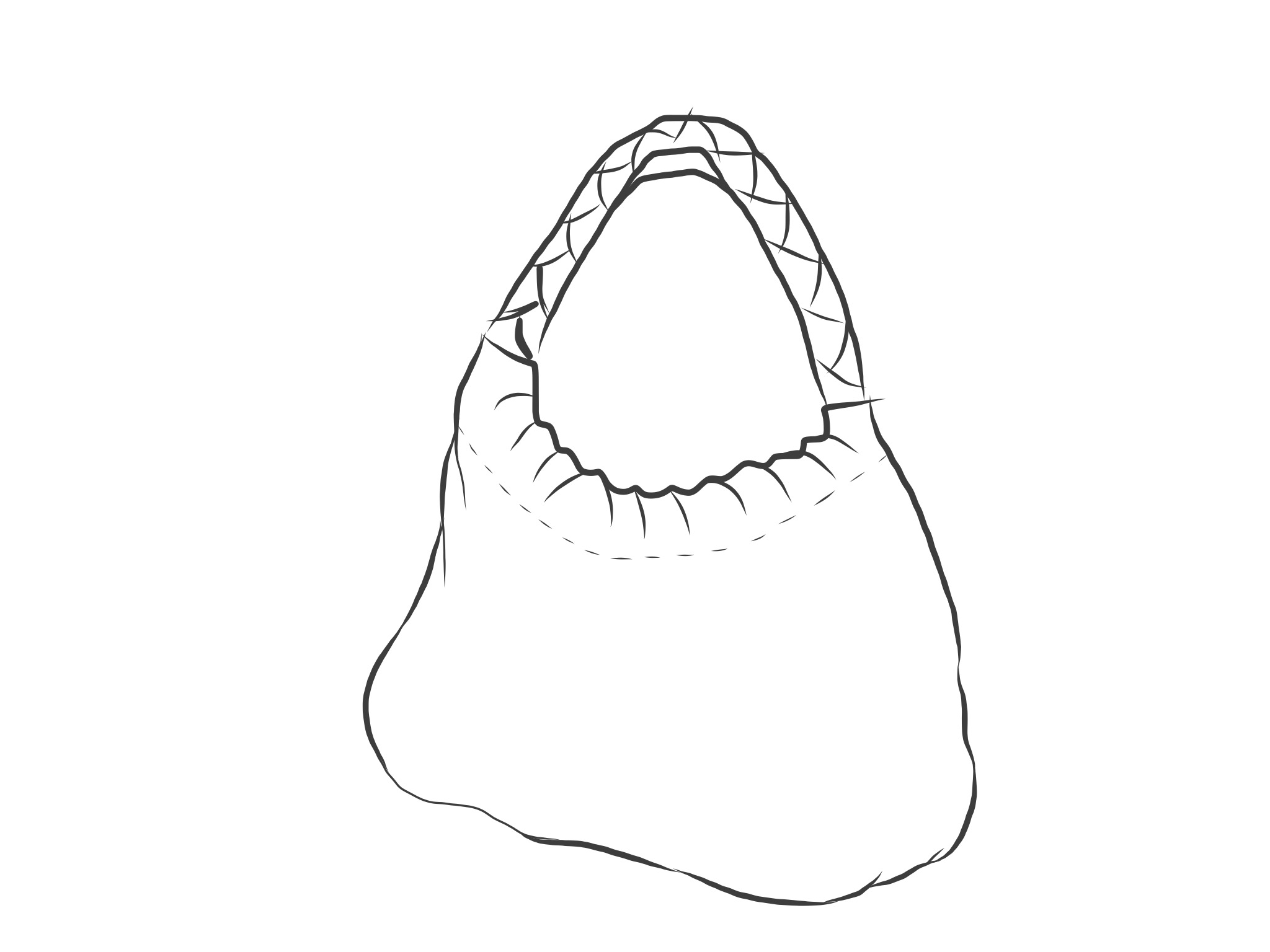 2048x1536 Blank Tee Tote, Advanced Version. T Bag