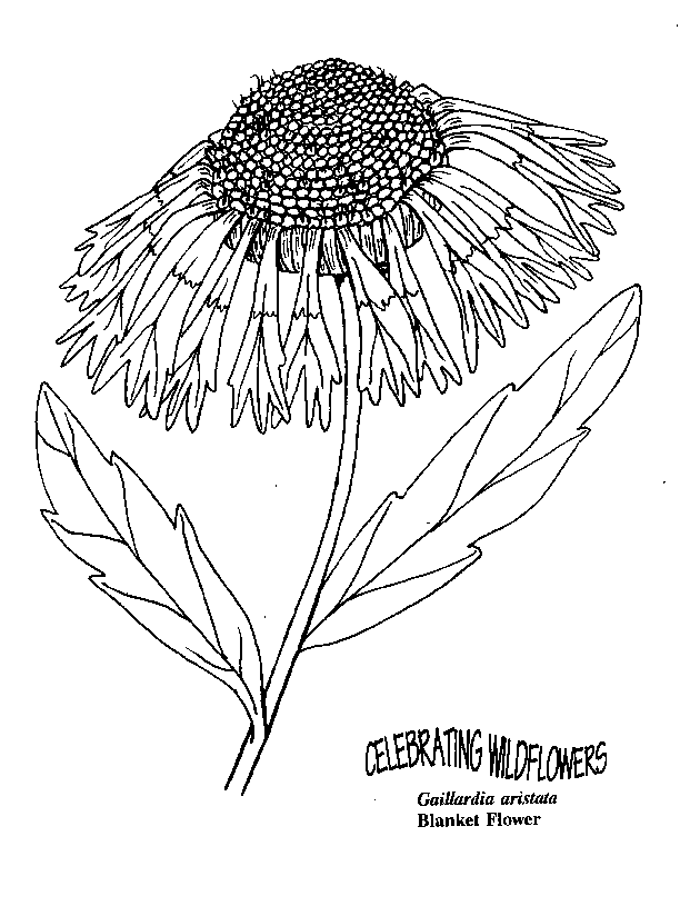 612x824 Umatilla National Forest