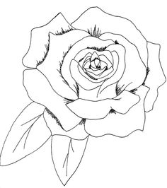 236x266 Rose And Skull Drawing Tattoo