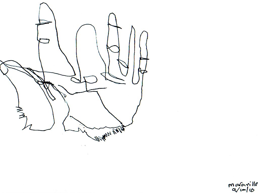 1024x768 Blind Contour Drawing Art 1