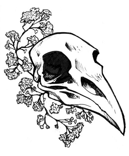 414x500 Crow Skull Tattoo