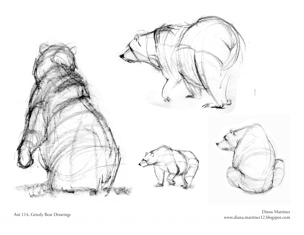 1024x791 How To Draw A Grizzly Bear Diana39s Sketch Blog More Grizzlies