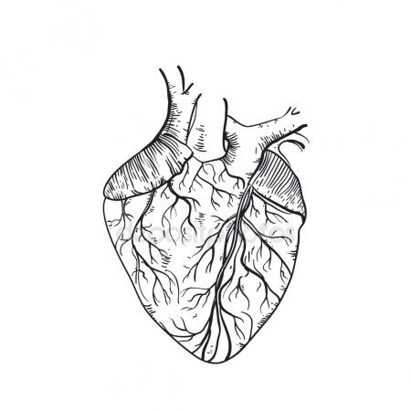 450x450 Metaphor Function Of Red Blood Cell To Transport Oxygen To Body
